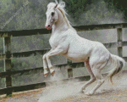 Beautiful White Stallion 5D Diamond Painting