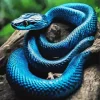 Black And Blue Snake 5D Diamond Painting