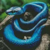 Black And Blue Snake 5D Diamond Painting