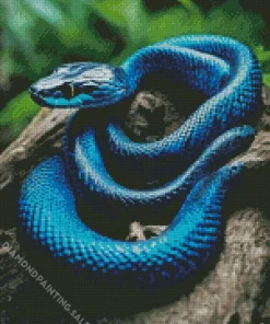 Black And Blue Snake 5D Diamond Painting