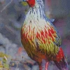 Blood Pheasant 5D Diamond Painting