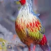 Blood Pheasant 5D Diamond Painting