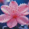 Blossom Flower 5D Diamond Painting