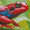 Blue And Red Frog 5D Diamond Painting