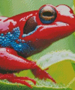 Blue And Red Frog 5D Diamond Painting