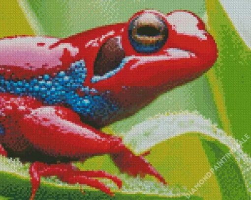 Blue And Red Frog 5D Diamond Painting