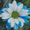 Blue And White Flower 5D Diamond Painting