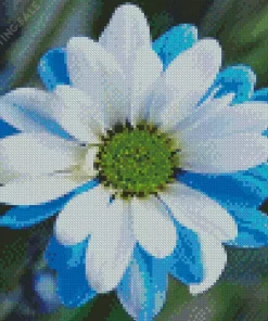 Blue And White Flower 5D Diamond Painting