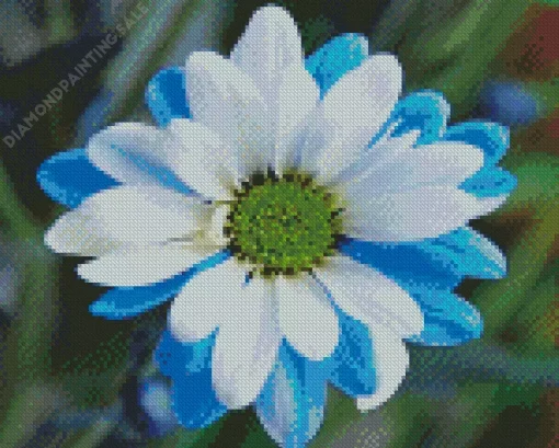 Blue And White Flower 5D Diamond Painting