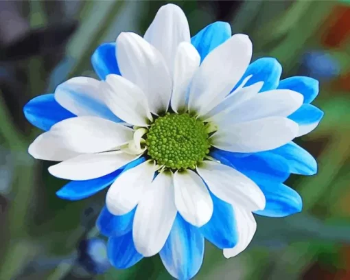 Blue And White Flower 5D Diamond Painting