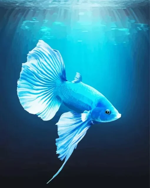 Blue Betta Fish Underwater 5D Diamond Painting