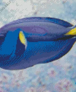 Blue Black And Yellow Fish 5D Diamond Painting