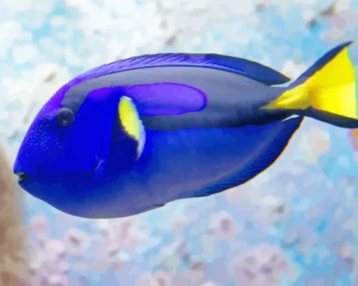 Blue Black And Yellow Fish 5D Diamond Painting