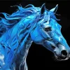 Blue Black Horse 5D Diamond Painting