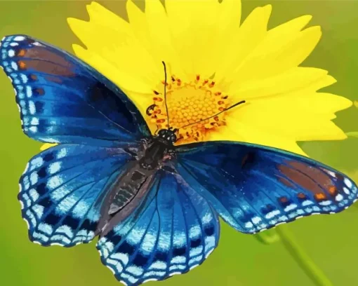 blue butterfly and flower Diamond Paints