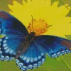 blue butterfly and flower Diamond Paints