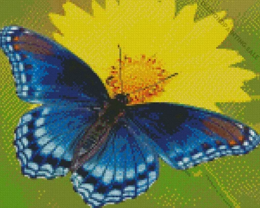 blue butterfly and flower Diamond Paints