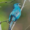 Blue Canary Bird 5D Diamond Painting