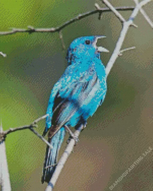 Blue Canary Bird 5D Diamond Painting