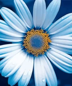 Blue Chamomile 5D Diamond Painting