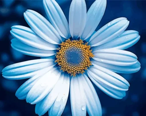 Blue Chamomile 5D Diamond Painting