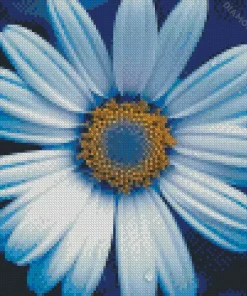 Blue Chamomile 5D Diamond Painting