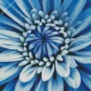 Blue Chrysanthemum 5D Diamond Painting