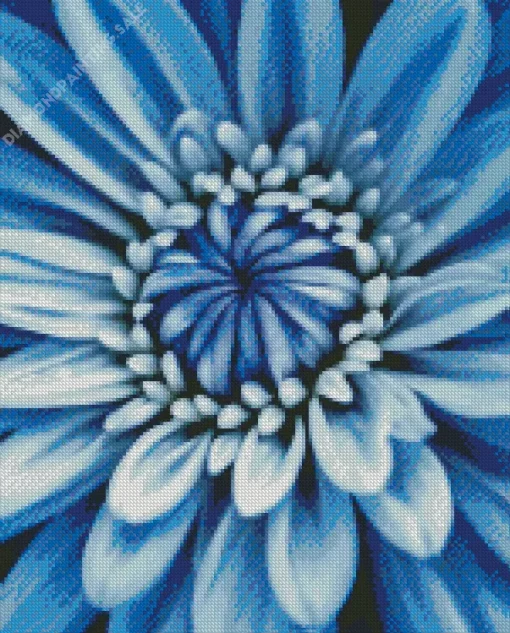 Blue Chrysanthemum 5D Diamond Painting