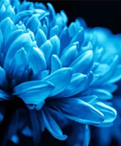 Blue Chrysanthemum Flower 5D Diamond Painting