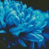 Blue Chrysanthemum Flower 5D Diamond Painting