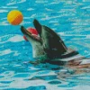 Dolphin Playing With Ball 5D Diamond Painting