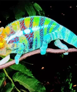 Panther Chameleon 5D Diamond Painting